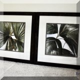 A16. Framed palm leaf prints.
